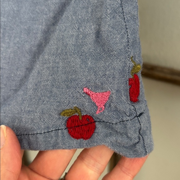 Pink Chicken chambray apple dress - Picture 3 of 7